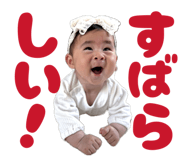 842587091