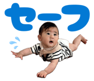 842587093