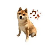 842587241
