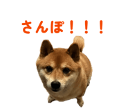 842587242