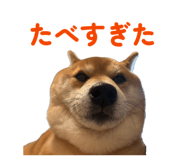 842587246