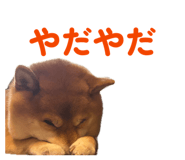 842587248