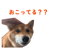 842587249