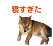 842587250
