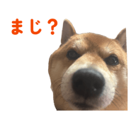 842587253