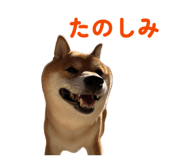 842587254