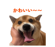842587256