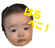 842587266