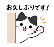 842587997