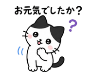 842587998