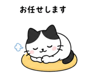 842588027