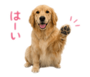842588056