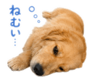 842588062