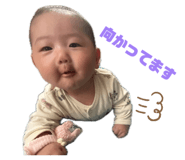 842588095