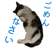 842588286