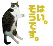 842588290