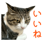 842588295