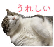 842588300