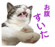 842588301