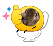 842588355