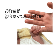 842588445