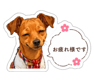 842588616