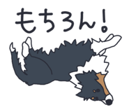 842588839