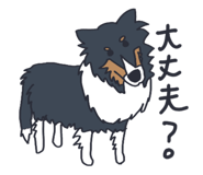 842588846