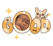 842589054