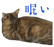 842589122