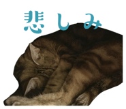 842589128