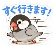842589734