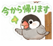 842589753