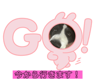 842589778