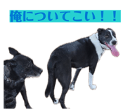 842589920