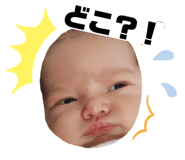 842589981