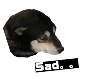 842589984