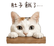 842610680