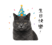 842611426