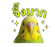 842612341