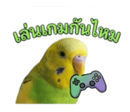 842612345
