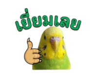 842612349
