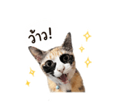 842612469