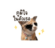 842612471