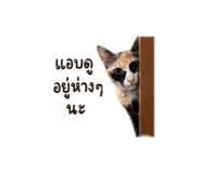 842612473