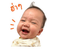842612654