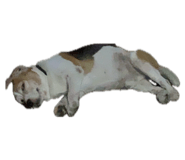 842613181