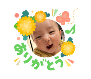 842613242