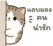 842613432