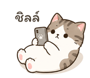 842613453